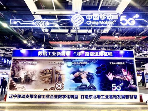 观澜建站 临高个人建站一站式服务与互联网数据服务的全面解析