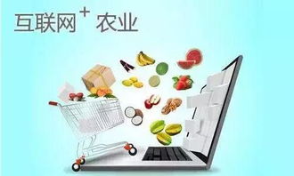 东莞第四届农产品博览会盛大开幕 吃喝玩乐逛不停，互联网数据服务赋能农业创新