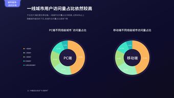 互联网用户与互联网数据中心 199IT在互联网数据服务中的关键角色