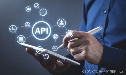 电商数据驱动的革新与机遇 探析亚马逊与阿里巴巴商品详情API接口